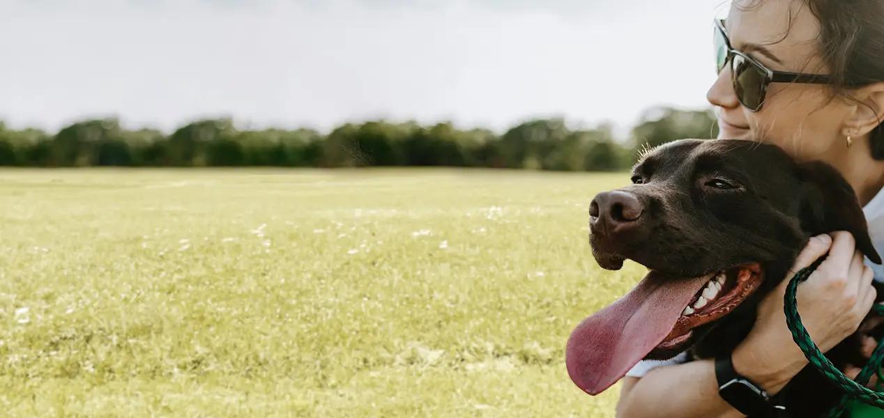 Trouvez le dog sitter idéal pour votre chien